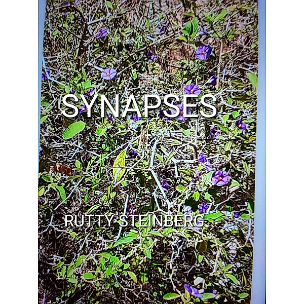 Synapses, Rutty Steinberg