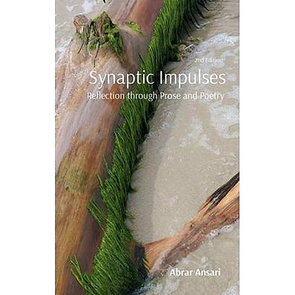 Synaptic Impulses, Abrar Ansari