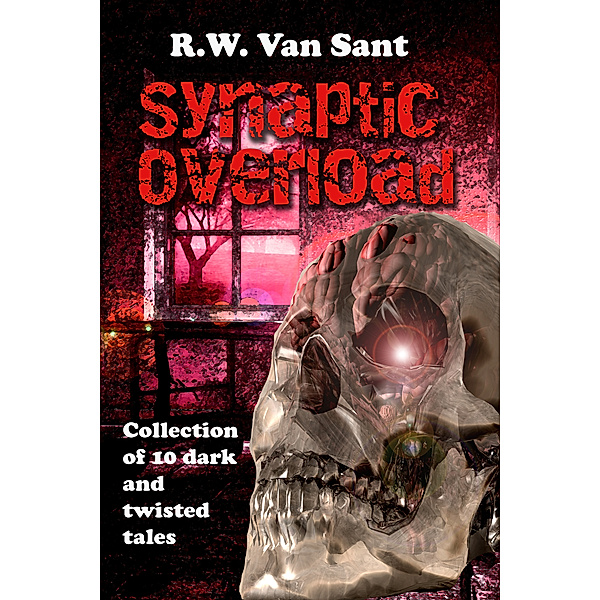 Synaptic Overload, R.W. Van Sant
