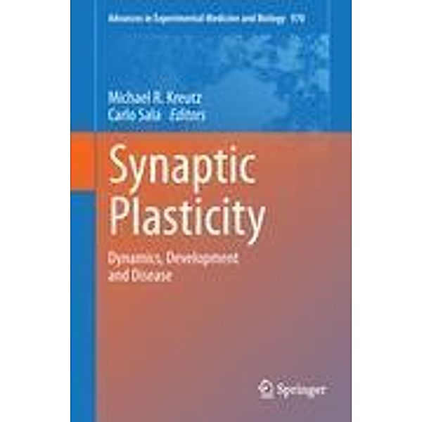 Synaptic Plasticity