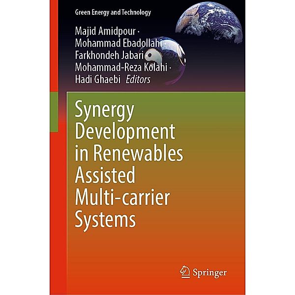 Synergy Development in Renewables Assisted Multi-carrier Systems / Green Energy and Technology