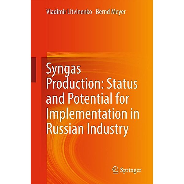 Syngas Production: Status and Potential for Implementation in Russian Industry, Vladimir Litvinenko, Bernd Meyer