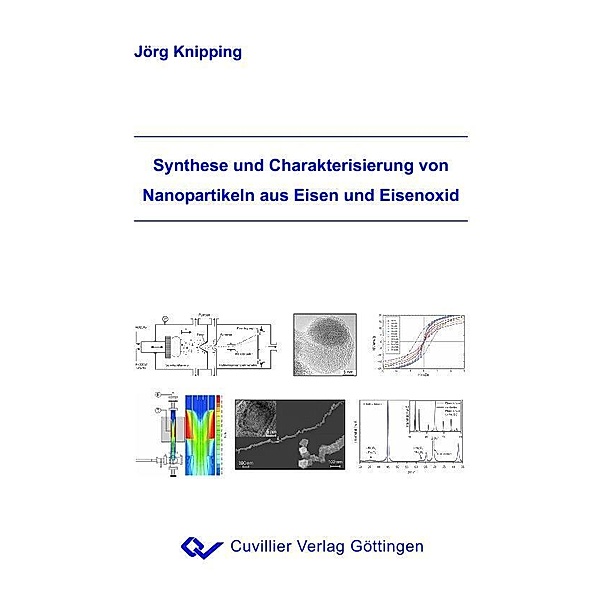 Synthese und Charakterisierung von Nanopartikeln aus Eisen und Eisenoxid