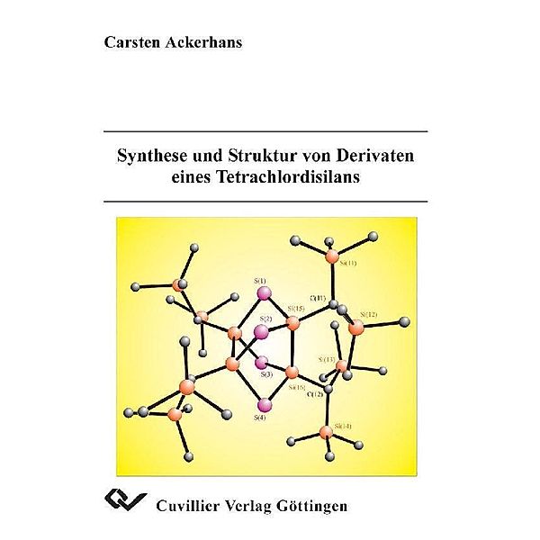 Synthese und Struktur von Derivaten eines Tetrachlordisilans