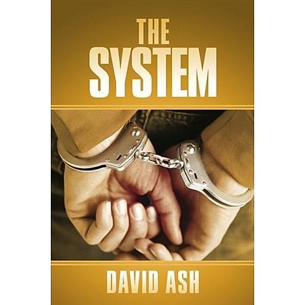 System, David Ash