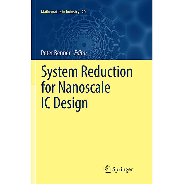 System Reduction for Nanoscale IC Design