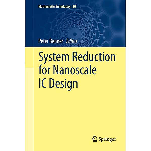 System Reduction for Nanoscale IC Design / Mathematics in Industry Bd.20