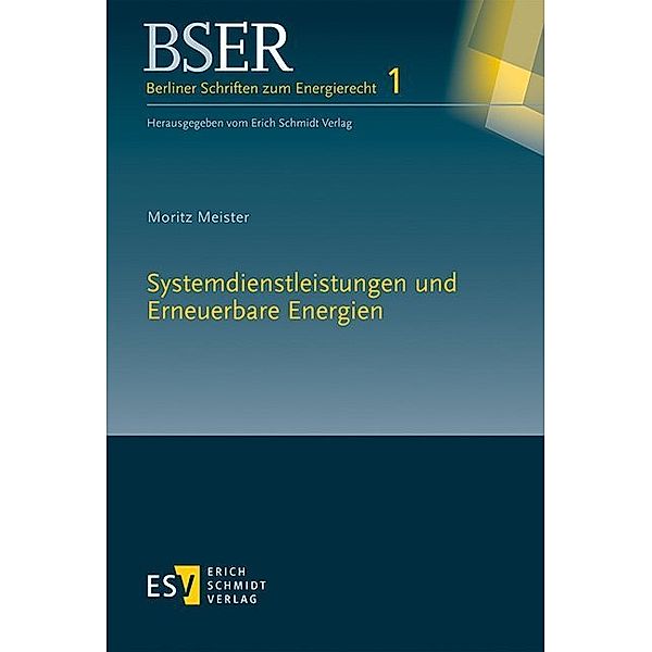 Systemdienstleistungen und Erneuerbare Energien, Moritz Meister