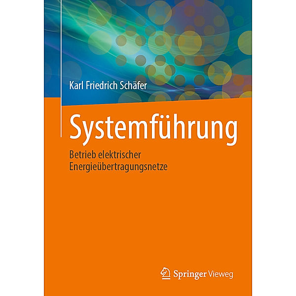 Systemführung, Karl Friedrich Schäfer