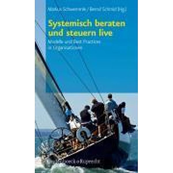 Systemisch beraten und steuern live