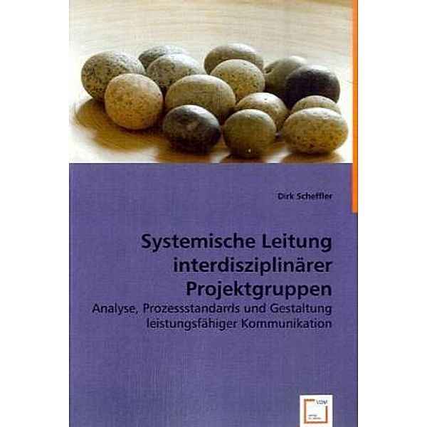 Systemische Leitung interdisziplinärer Projektgruppen, Dirk Scheffler