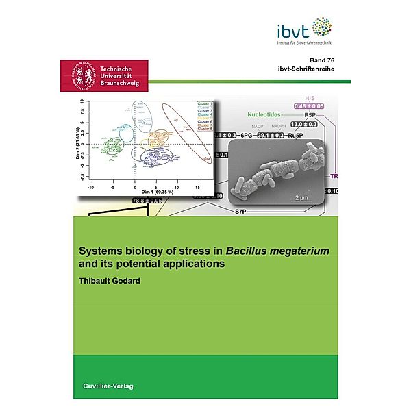 Systems biology of stress in Bacillus megaterium and its potential applications, Thibault Godard