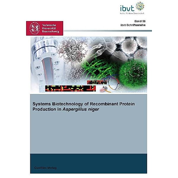 Systems Biotechnology of Recombinant Protein Production in Aspergillus niger / Schriftenreihe des Institutes für Bioverfahrenstechnik der Technischen Universität Braunschweig Bd.58