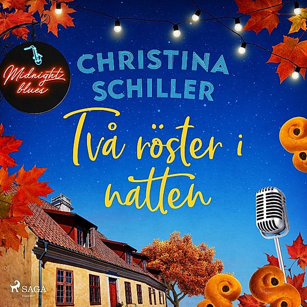 Systrarna i Forsberga - 2 - Två röster i natten, Christina Schiller