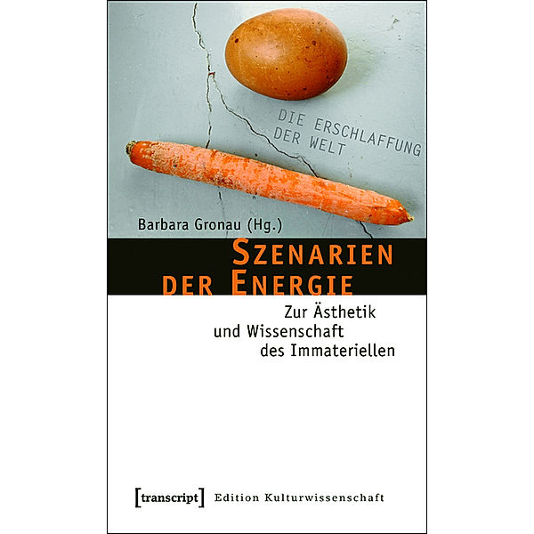 Szenarien der Energie / Edition Kulturwissenschaft Bd.8