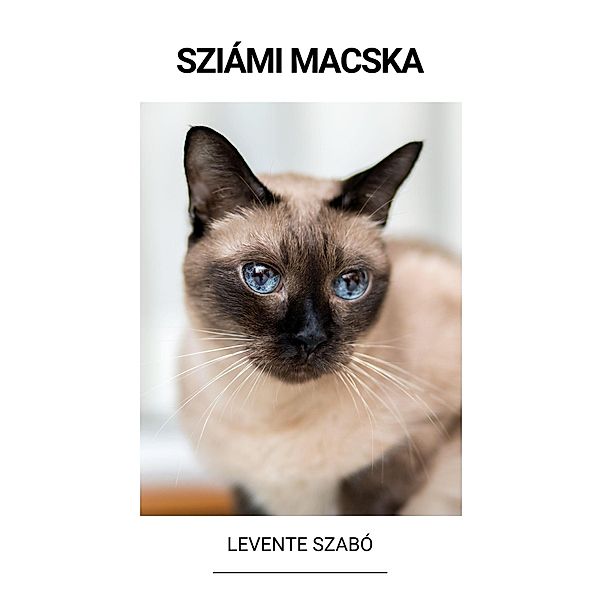 Sziámi Macska, Levente Szabó