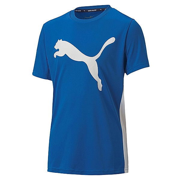 Puma T-Shirt ACTIVE SPORTS DRYCELL in blau