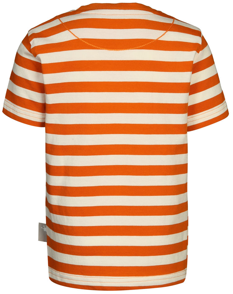 T-Shirt SAFARI ADVENTURE gestreift in orange kaufen