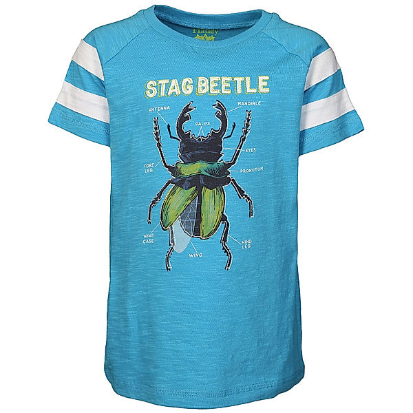 Hatley T-Shirt STAG BEETLE in blau