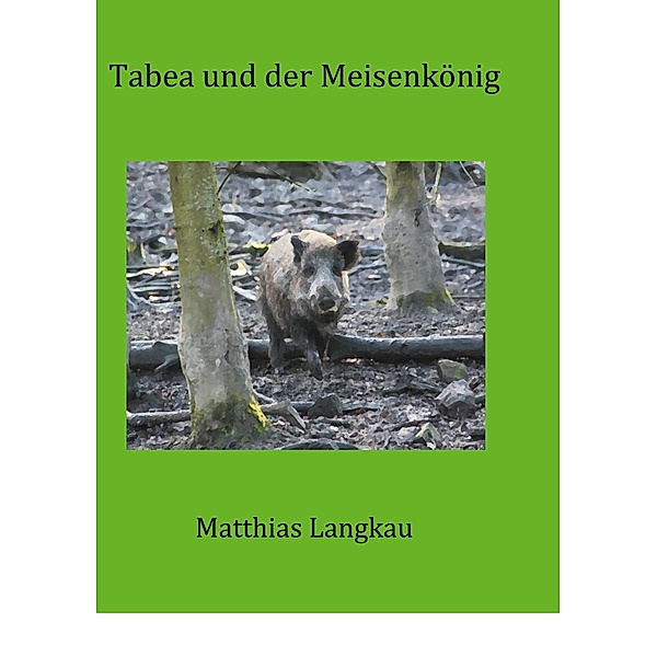 Tabea und der Meisenkönig / Die Abenteuer von Rahel und Tabea Bd.2/5, Matthias Langkau