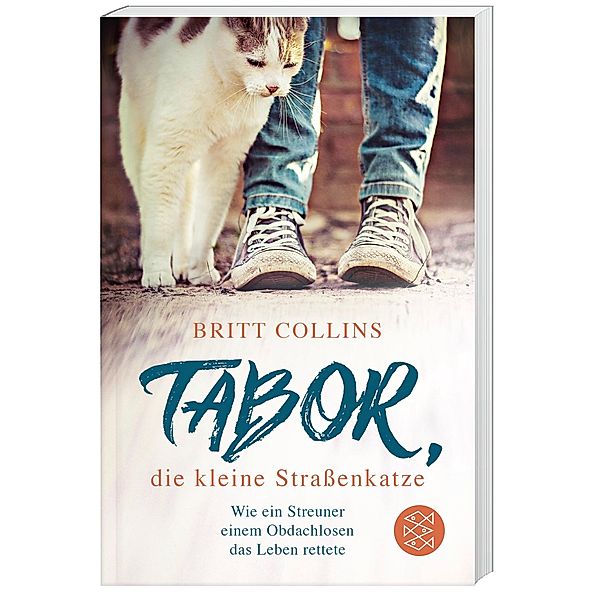 Tabor, die kleine Straßenkatze, Britt Collins