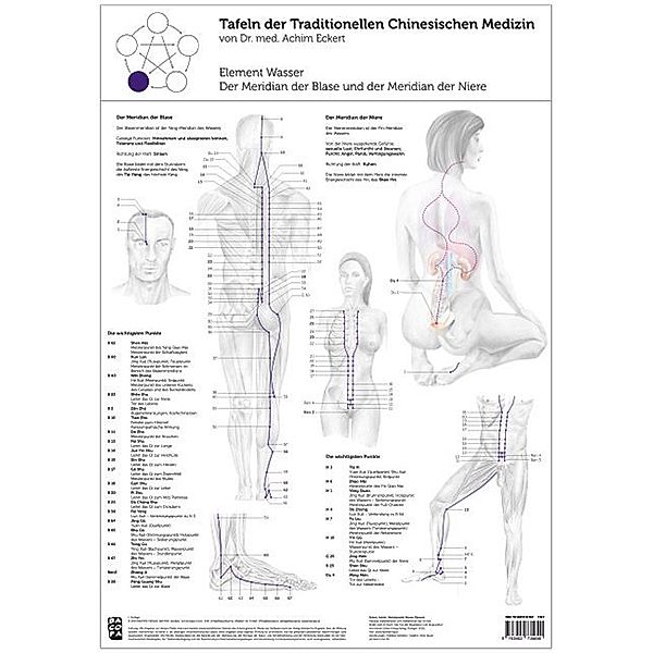 Tafeln der Traditionellen Chinesischen Medizin - Element Wasser, 1 Tafel, Achim Eckert