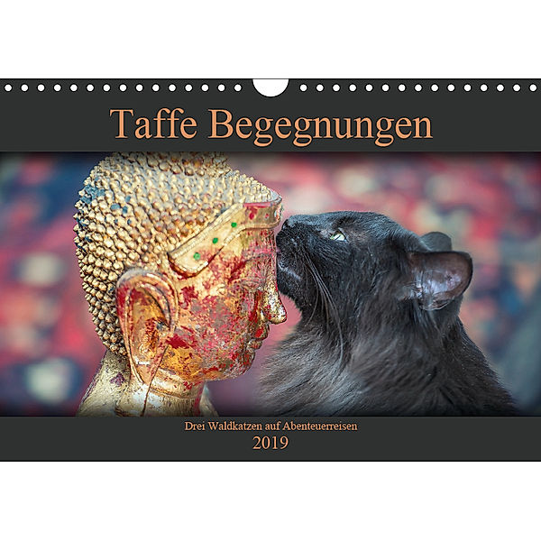 Taffe Begegnungen-Drei Waldkatzen auf Abenteuerreisen (Wandkalender 2019 DIN A4 quer), Viktor Gross