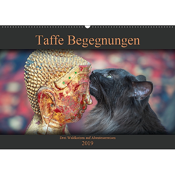 Taffe Begegnungen-Drei Waldkatzen auf Abenteuerreisen (Wandkalender 2019 DIN A2 quer), Viktor Gross