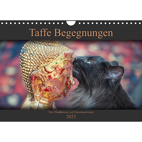 Taffe Begegnungen-Drei Waldkatzen auf Abenteuerreisen (Wandkalender 2023 DIN A4 quer), Viktor Gross