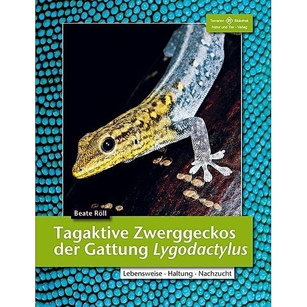 Tagaktive Zwerggeckos der Gattung Lygodactylus, Beate Röll