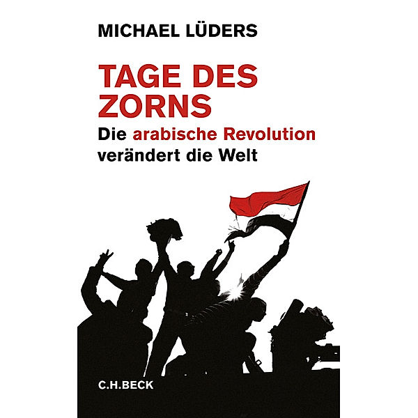 Tage des Zorns, Michael Lüders