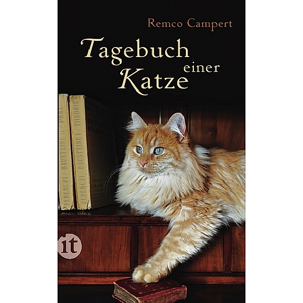 Tagebuch einer Katze, Remco Campert