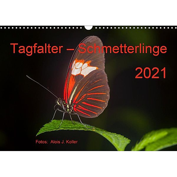 Tagfalter Schmetterlinge (Wandkalender 2021 DIN A3 quer), Alois J. Koller 4pictures.ch