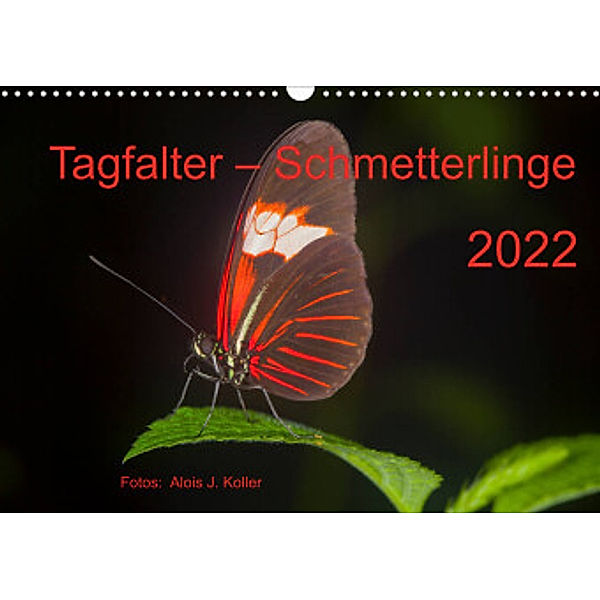 Tagfalter Schmetterlinge (Wandkalender 2022 DIN A3 quer), Alois J. Koller    4pictures.ch