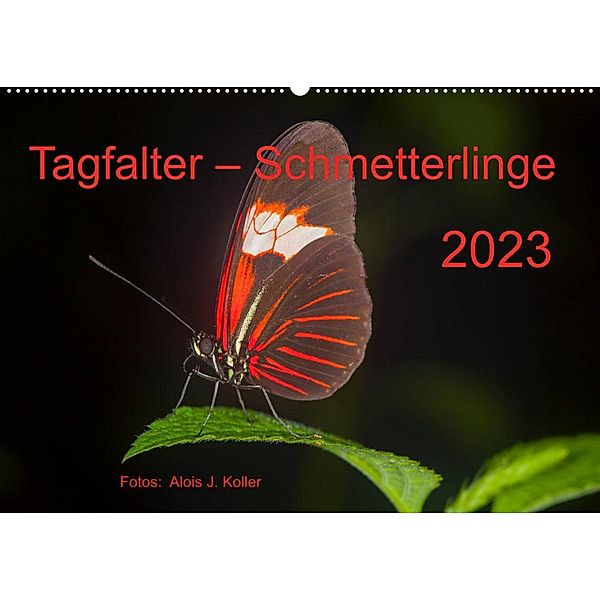 Tagfalter Schmetterlinge (Wandkalender 2023 DIN A2 quer), Alois J. Koller 4pictures.ch