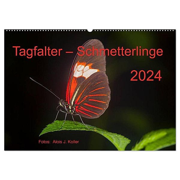 Tagfalter Schmetterlinge (Wandkalender 2024 DIN A2 quer), CALVENDO Monatskalender, Alois J. Koller 4pictures.ch