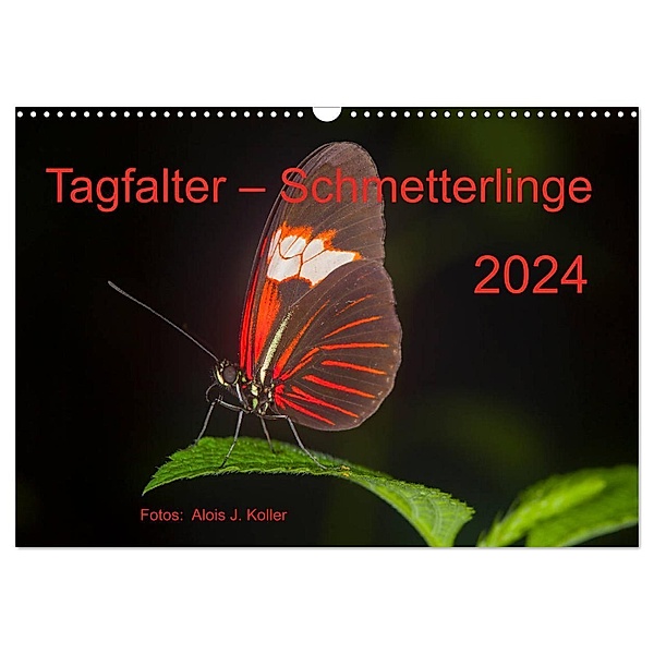 Tagfalter Schmetterlinge (Wandkalender 2024 DIN A3 quer), CALVENDO Monatskalender, Alois J. Koller 4pictures.ch