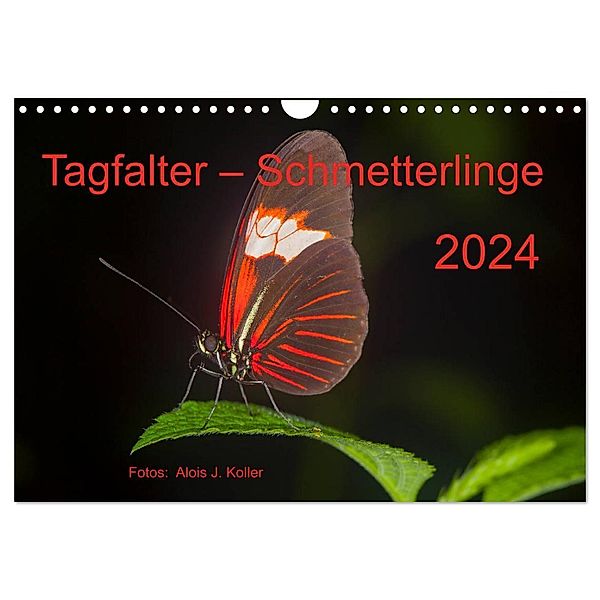 Tagfalter Schmetterlinge (Wandkalender 2024 DIN A4 quer), CALVENDO Monatskalender, Alois J. Koller 4pictures.ch