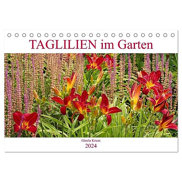 Taglilien im Garten (Tischkalender 2024 DIN A5 quer), CALVENDO Monatskalender, Gisela Kruse