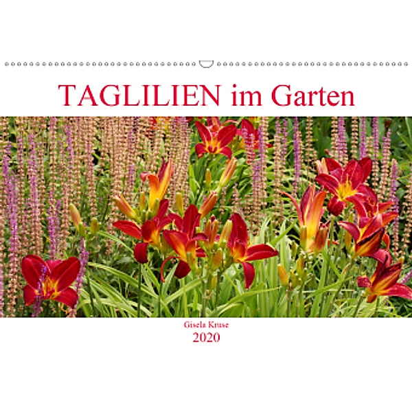Taglilien im Garten (Wandkalender 2020 DIN A2 quer), Gisela Kruse