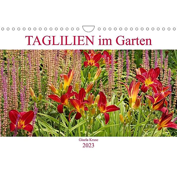 Taglilien im Garten (Wandkalender 2023 DIN A4 quer), Gisela Kruse
