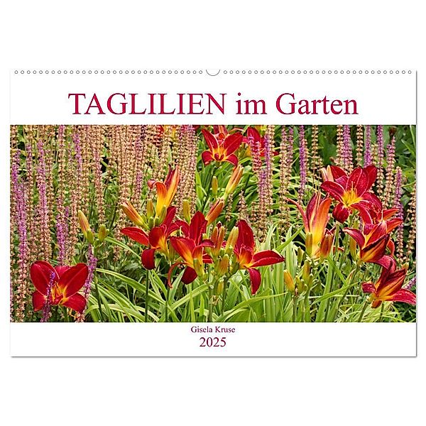 Taglilien im Garten (Wandkalender 2025 DIN A2 quer), CALVENDO Monatskalender, Calvendo, Gisela Kruse