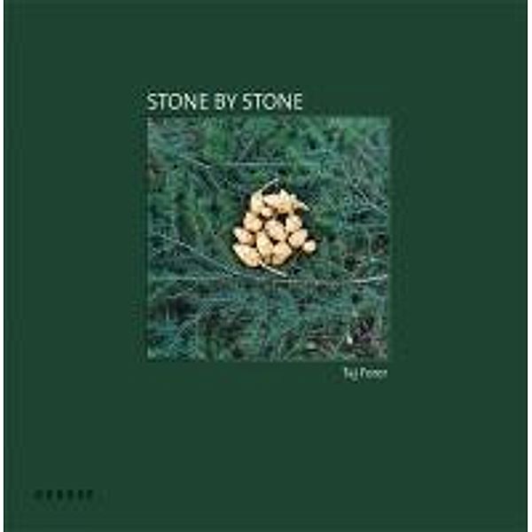 Taj Forer - Stone by Stone, Kirsten Rian