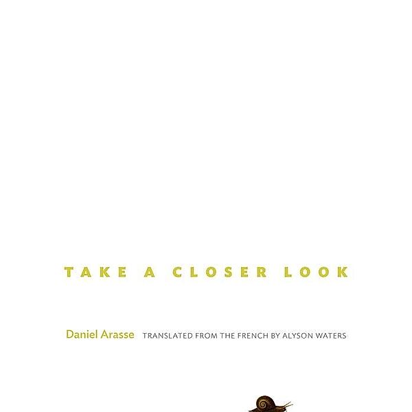 Take a Closer Look, Daniel Arasse