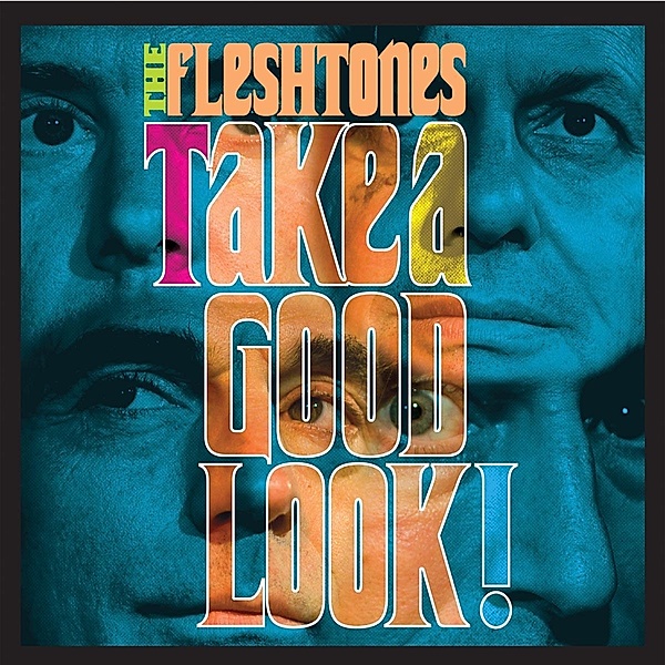 Take A Good Look, Fleshtones