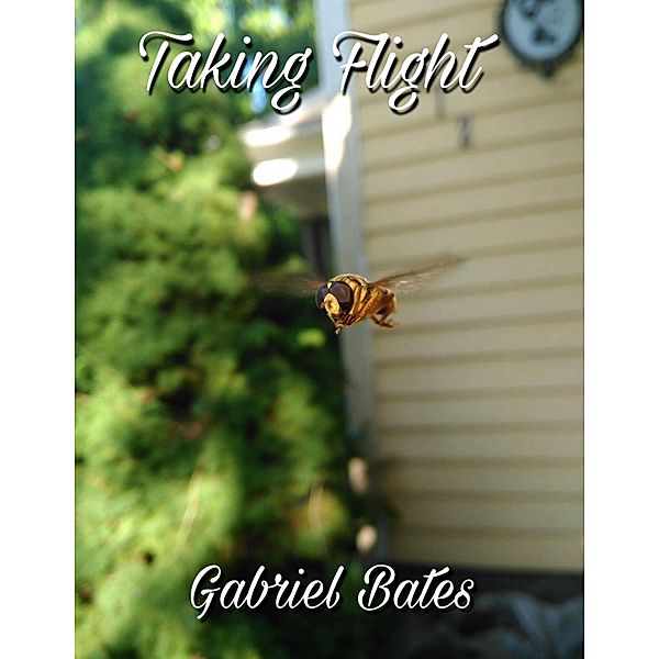 Taking Flight, Gabriel Bates