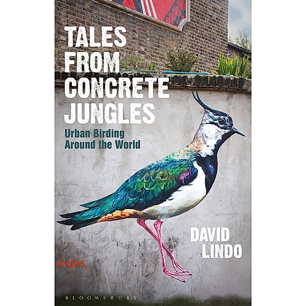 Tales from Concrete Jungles, David Lindo