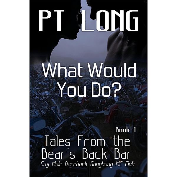 Tales From the Bear's Back Bar: What Would You Do?: Gay Male Bareback Gangbang MC Club (Bear's Back MC Club, #1) / Bear's Back MC Club, Pt Long