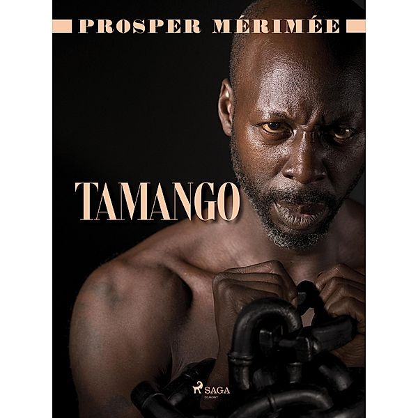 Tamango, Prosper Mérimée