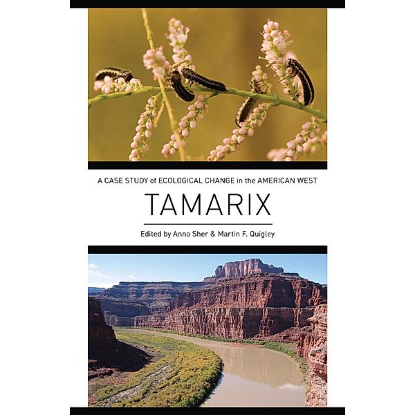 Tamarix, Martin F. Quigley